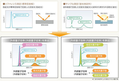 量子効率測定システム　